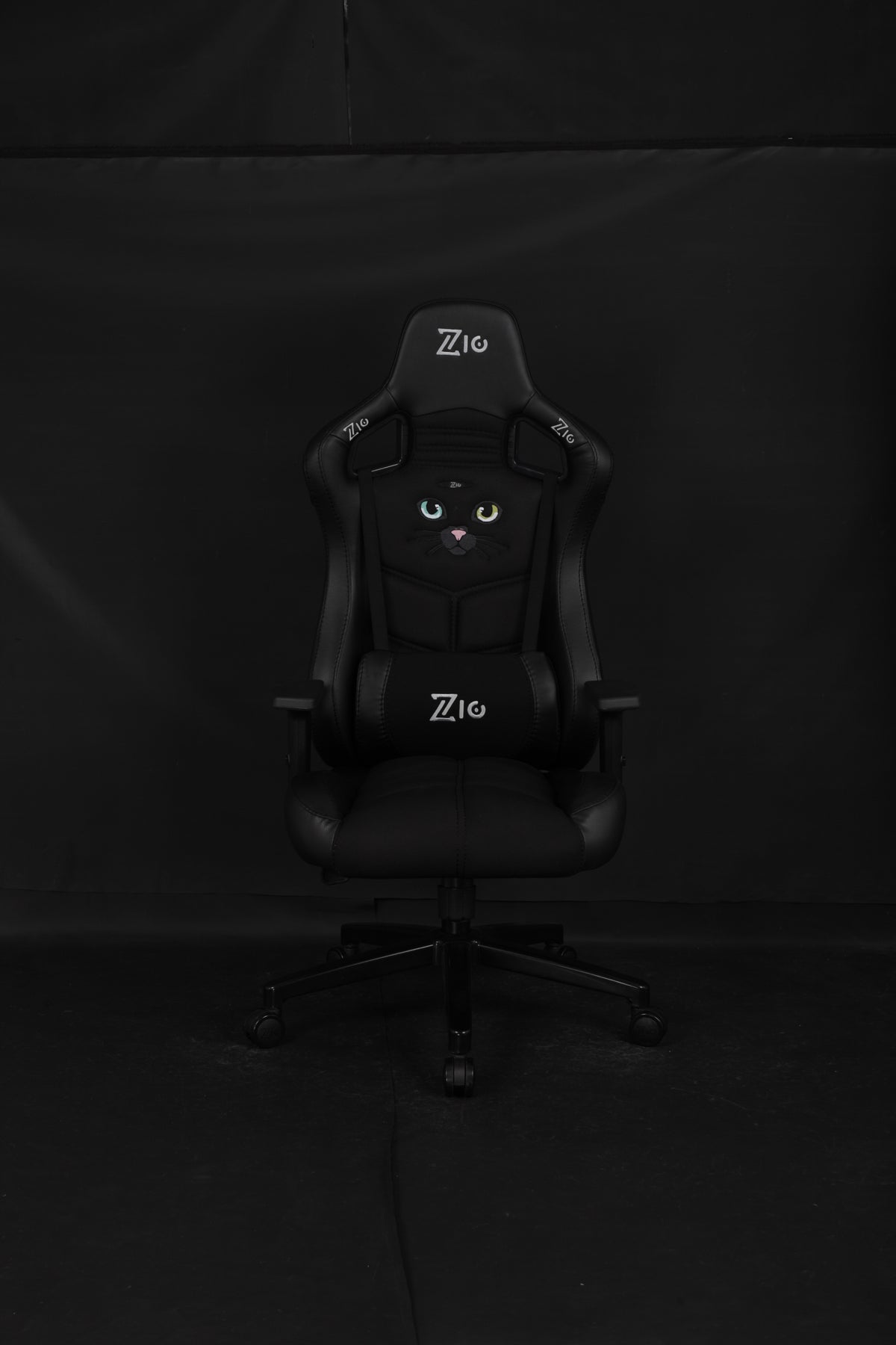 Black cat