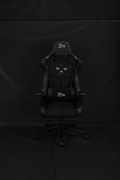 Black cat