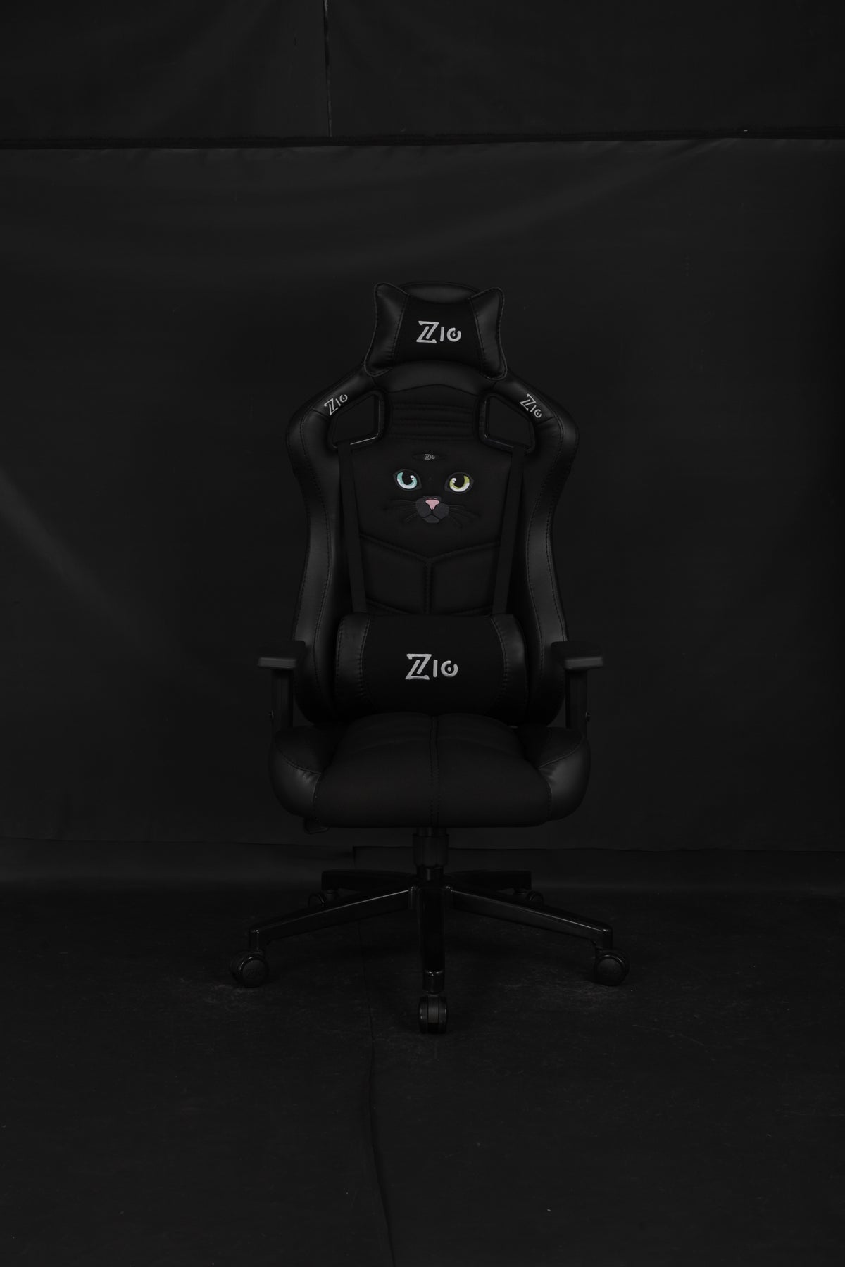 Black cat