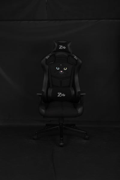 Black cat