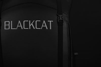 Black cat