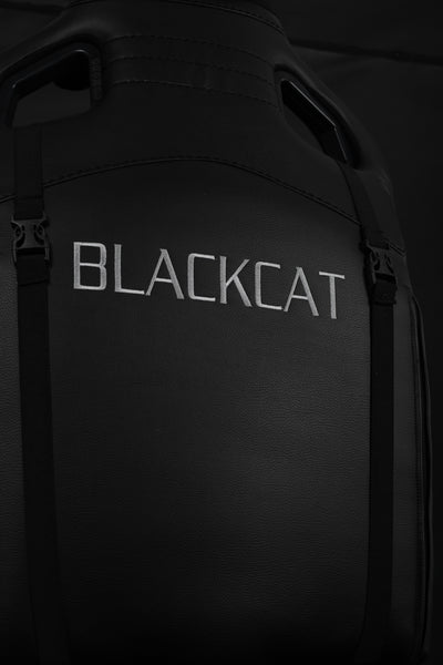 Black cat
