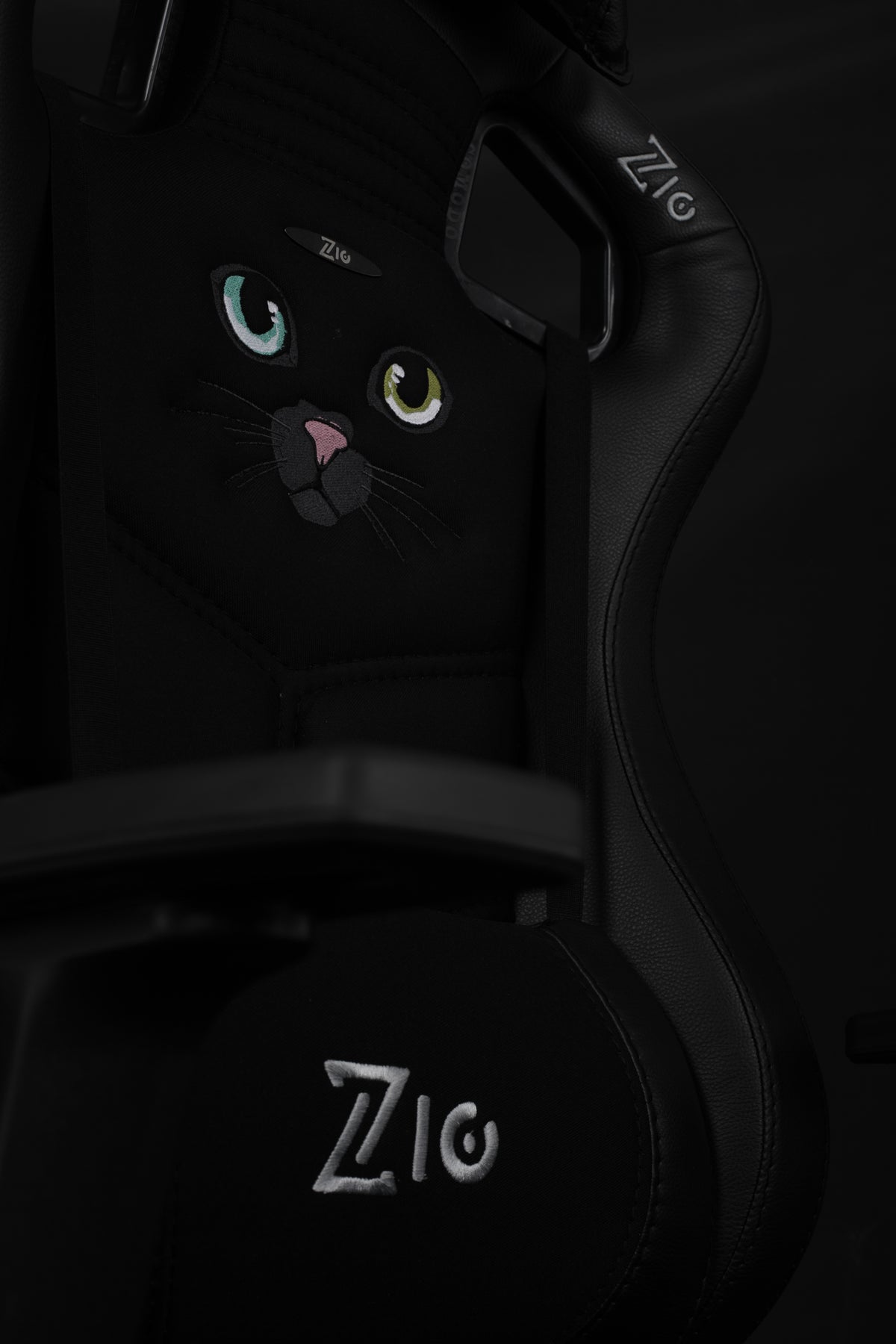 Black cat