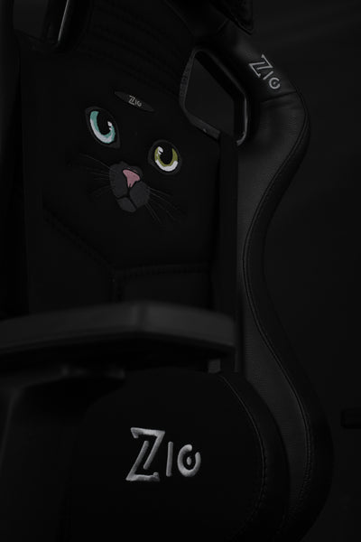 Black cat