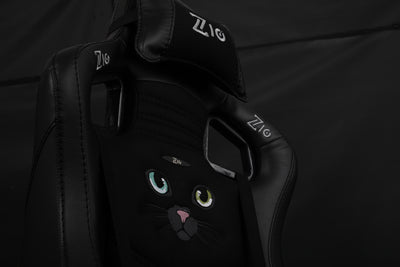 Black cat