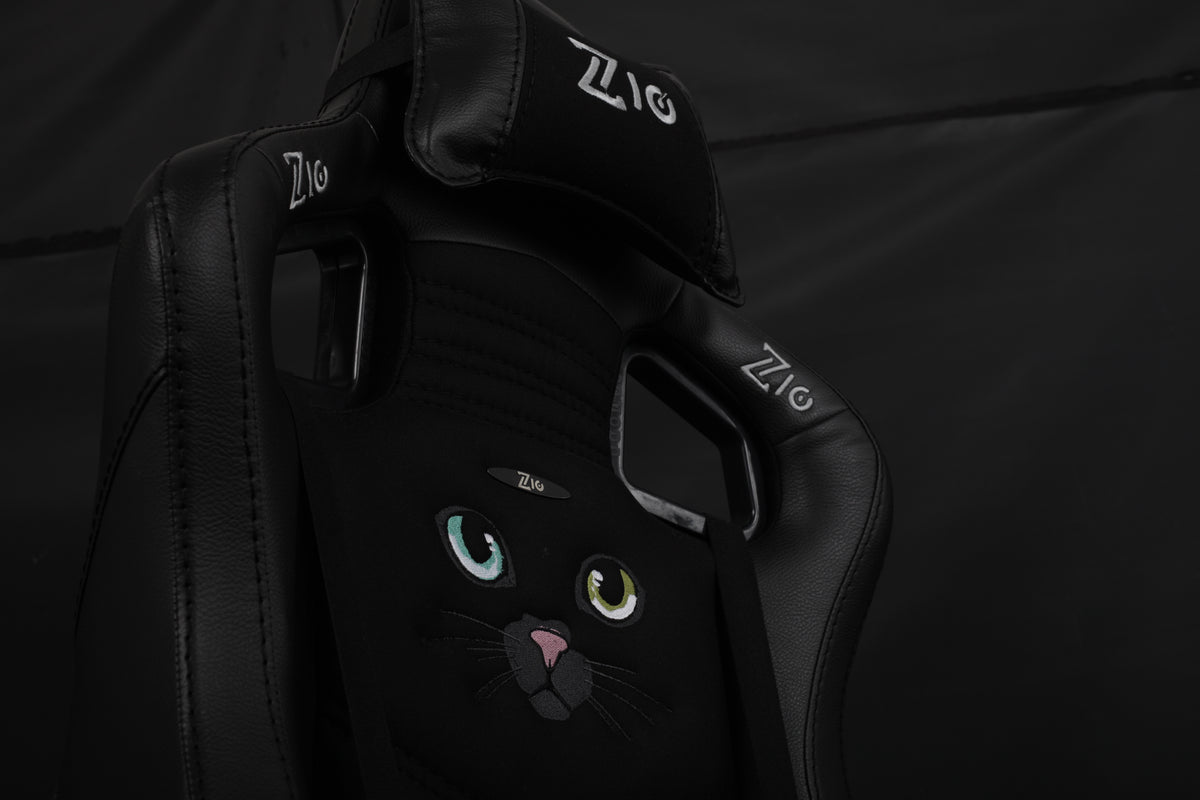 Black cat