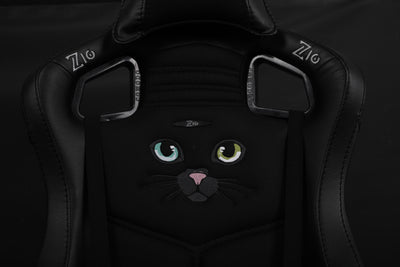 Black cat