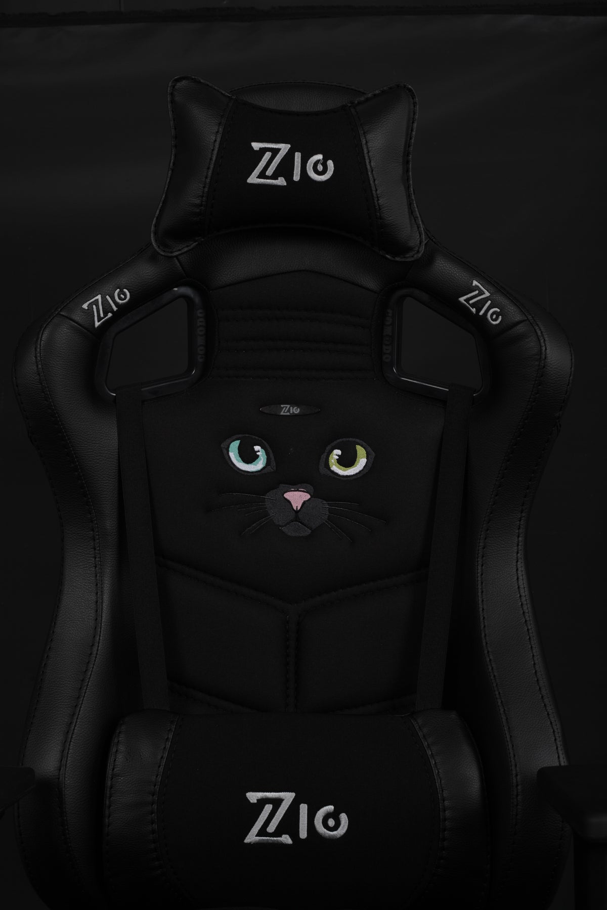 Black cat