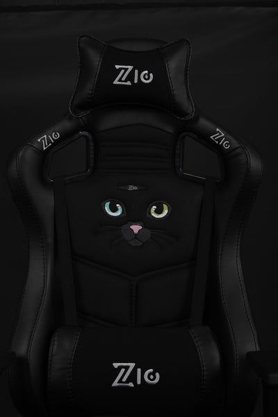 Black cat