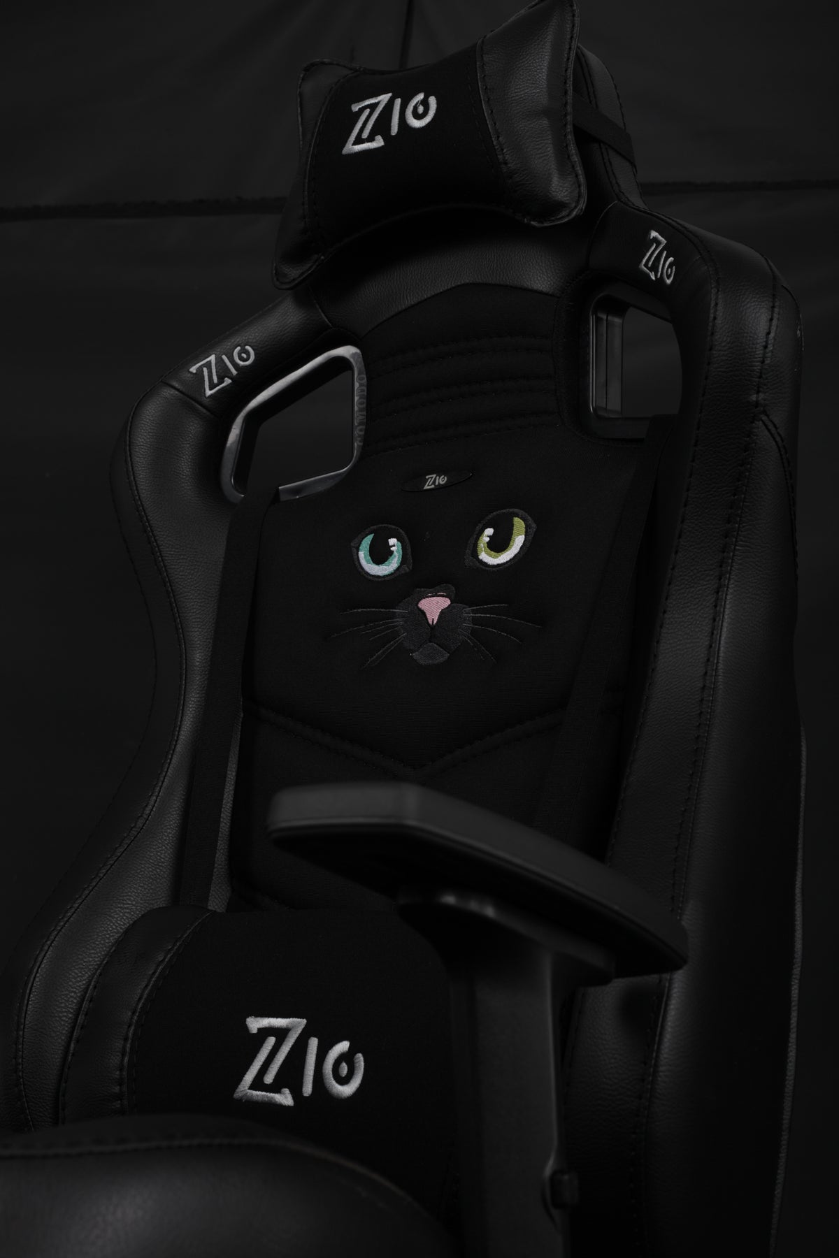 Black cat