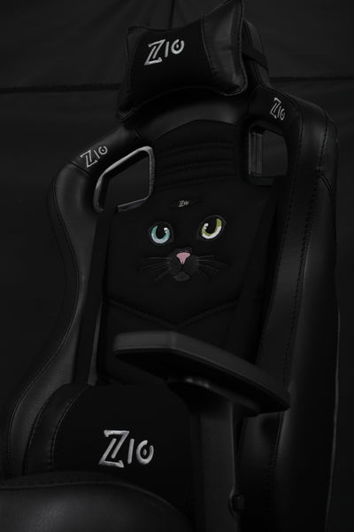 Black cat