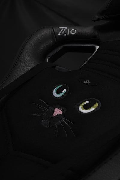 Black cat