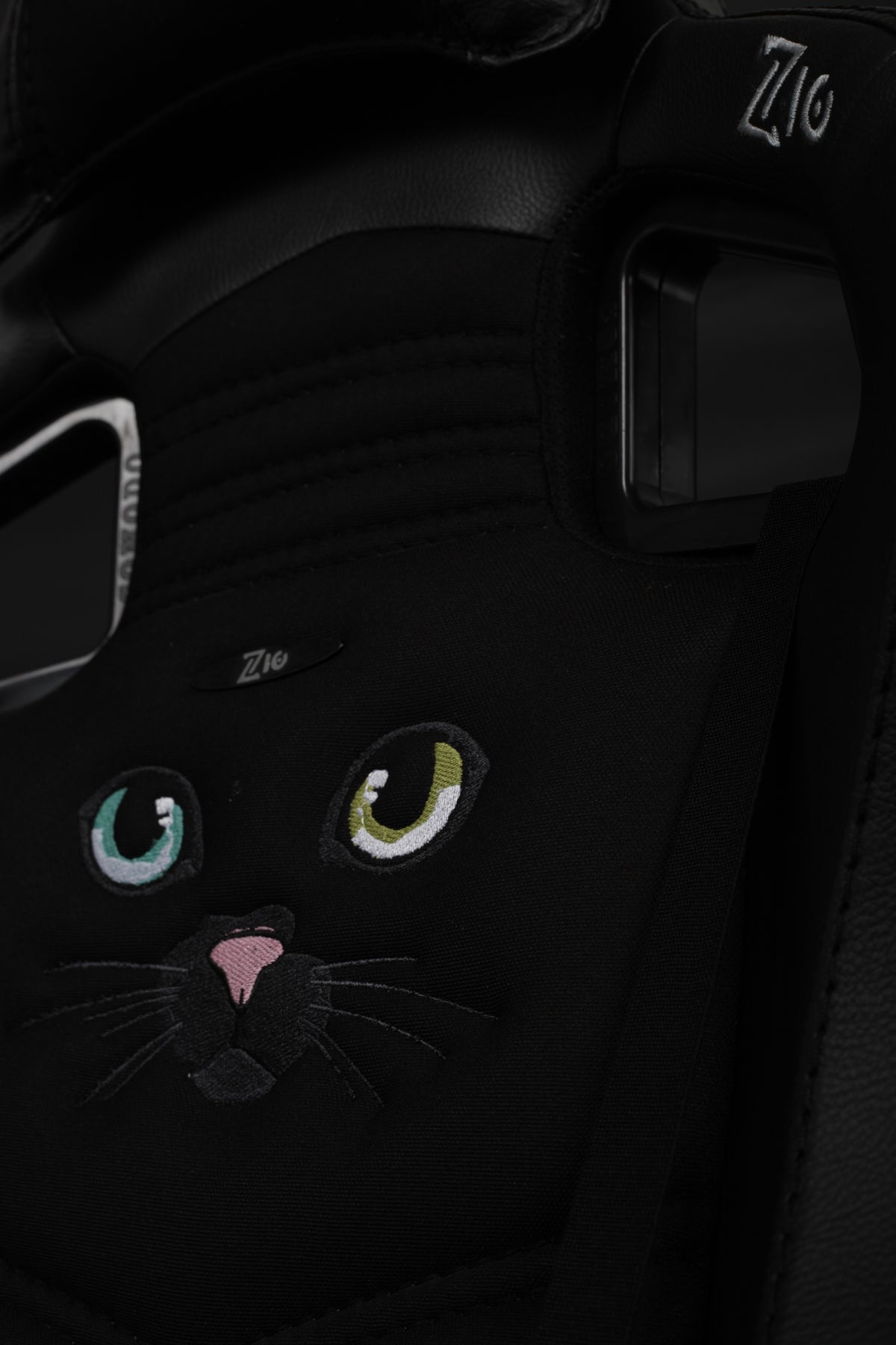 Black cat