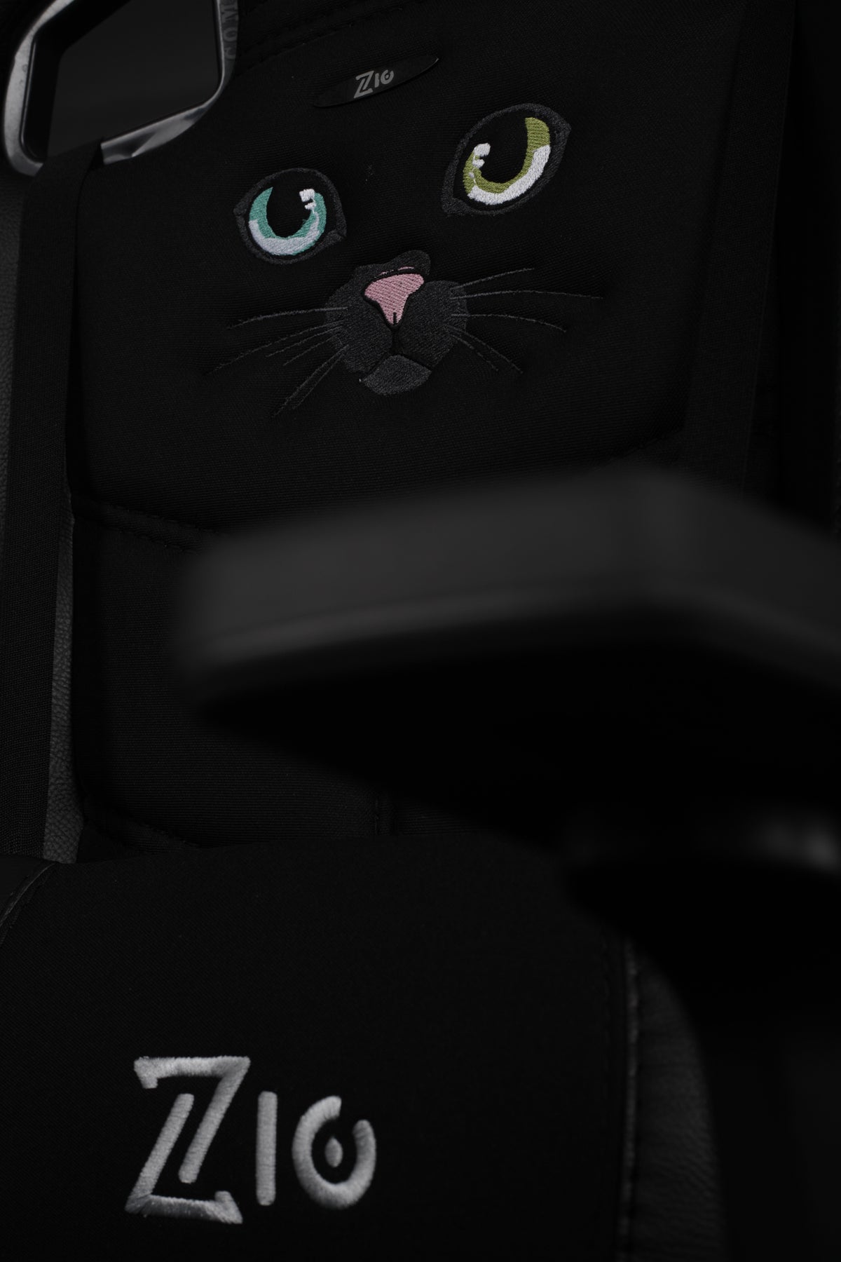 Black cat