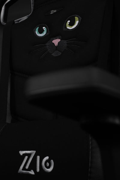 Black cat