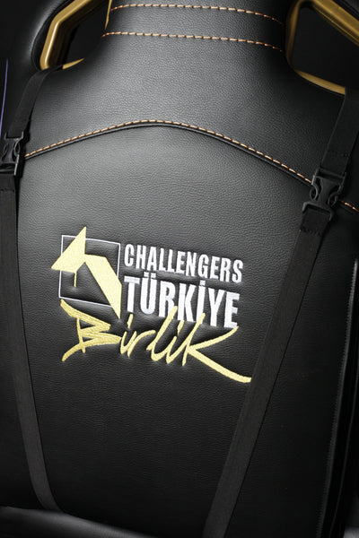 Challengers ESA