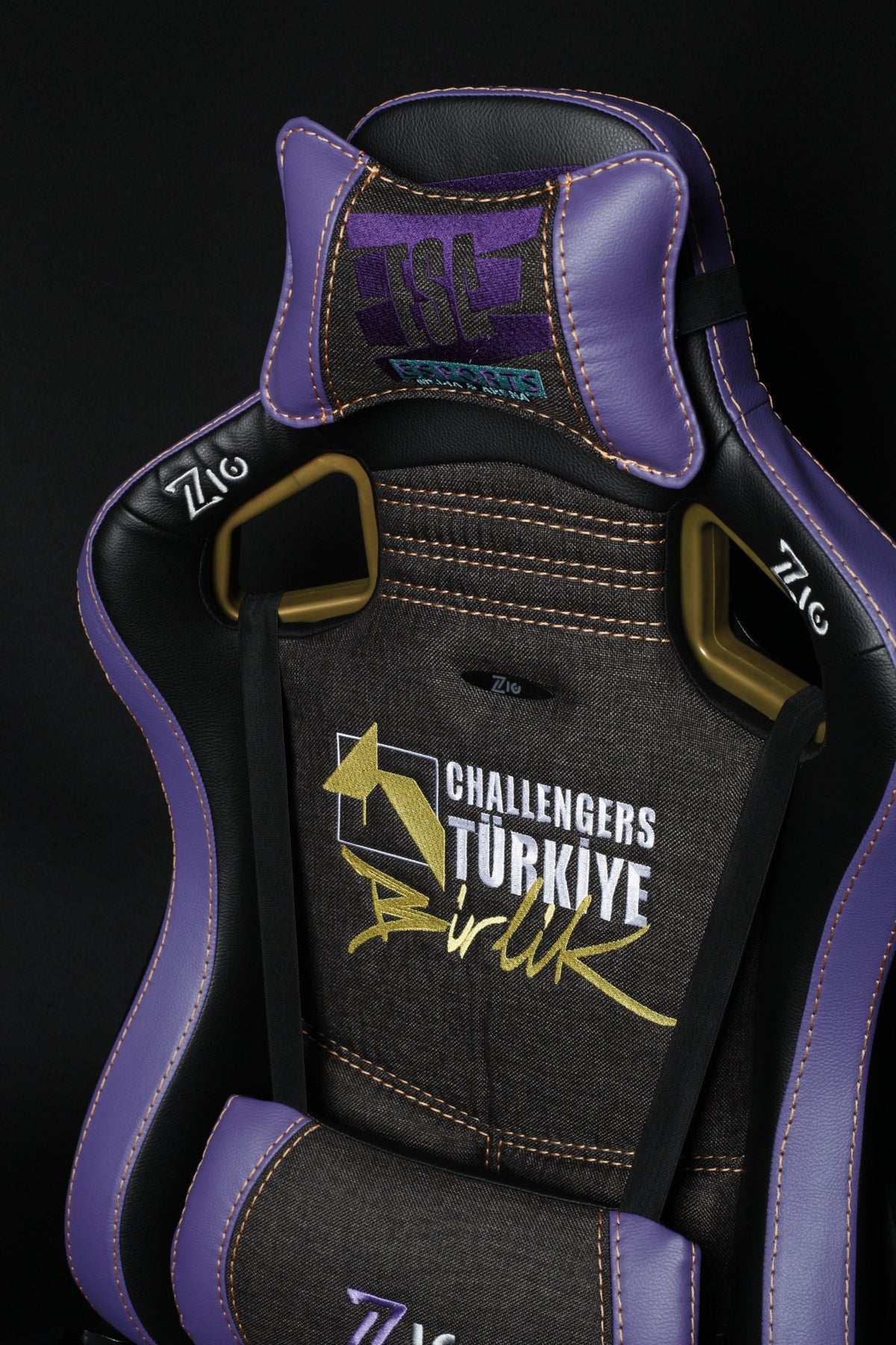 Challengers ESA