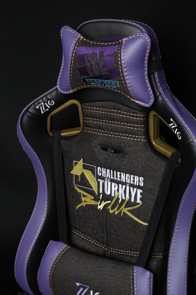 Challengers ESA