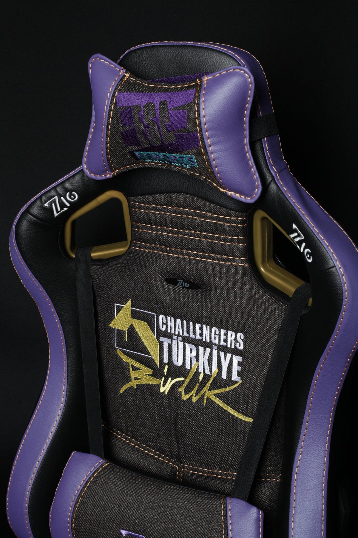 Challengers ESA