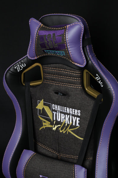 Challengers ESA