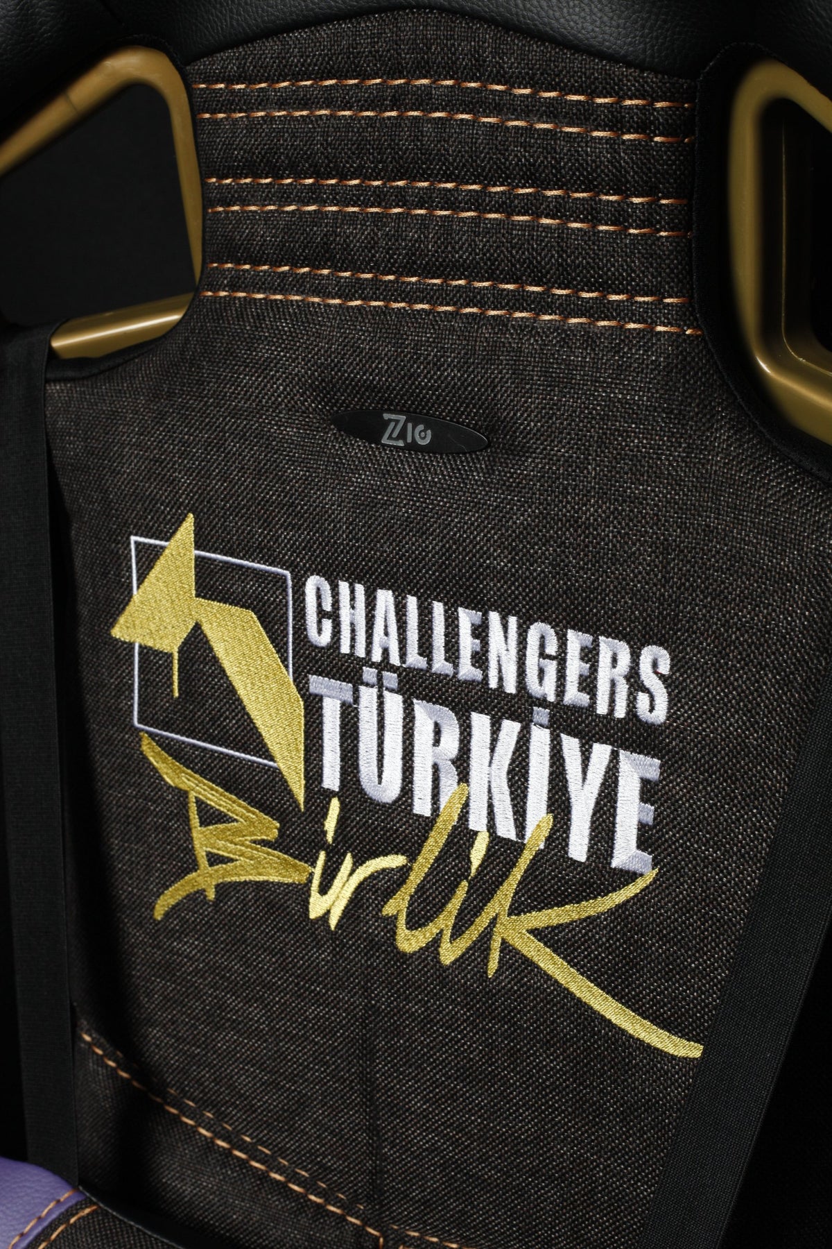 Challengers ESA