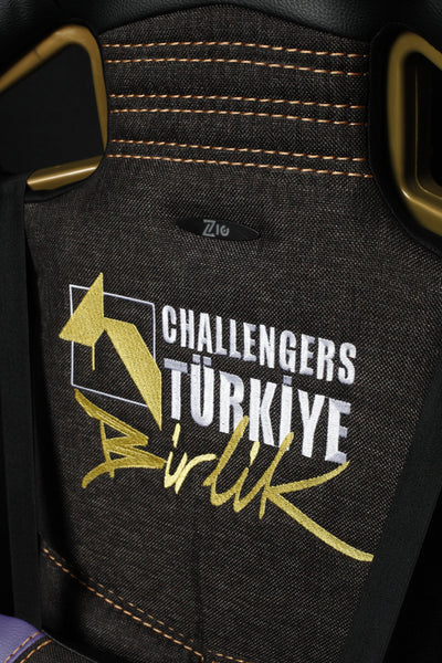 Challengers ESA