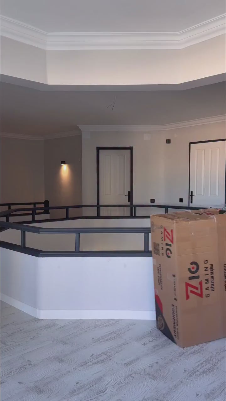 Zio feed video2